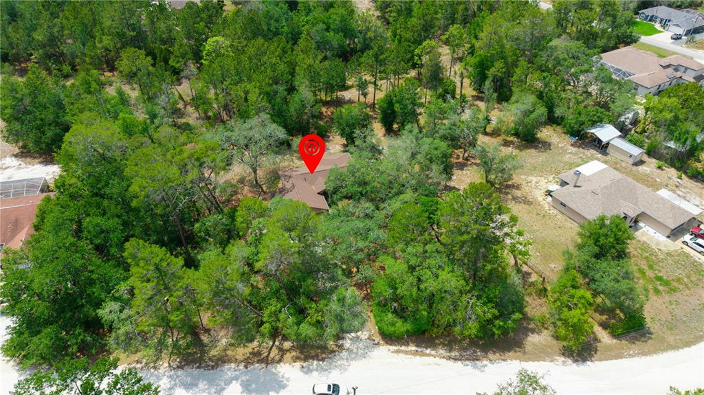 7121 Bastian Court Weeki Wachee, FL 34613 - Photo 36 of 45