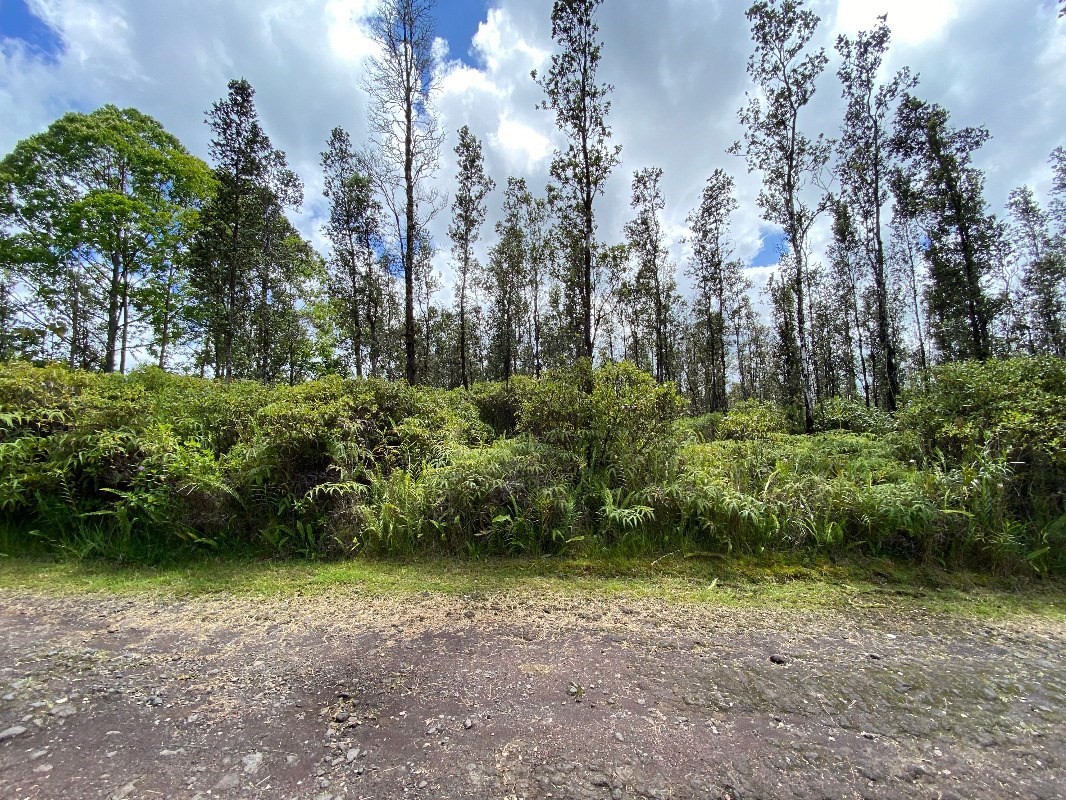 4648 Opeapea Road Pahoa, HI 96778 - Photo 1 of 3