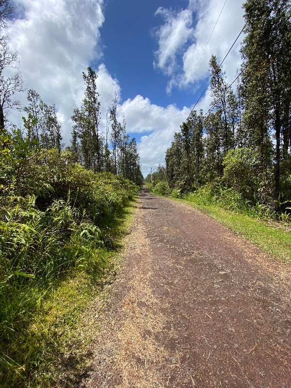 4648 Opeapea Road Pahoa, HI 96778 - Photo 2 of 3
