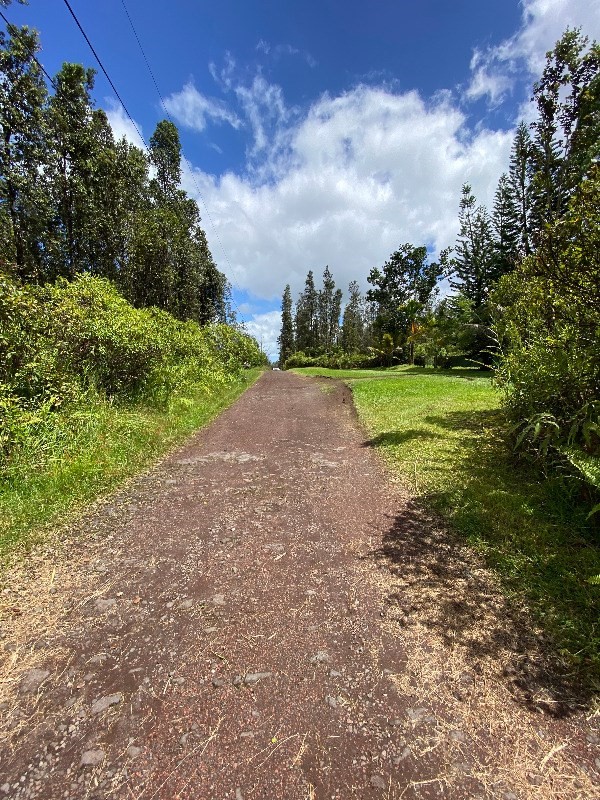 4648 Opeapea Road Pahoa, HI 96778 - Photo 3 of 3