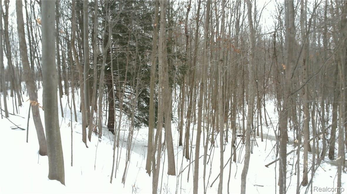 11480 Wilkes Road Yale, MI 48097 - Photo 45 of 83 WIN_20160217_124356.JPG