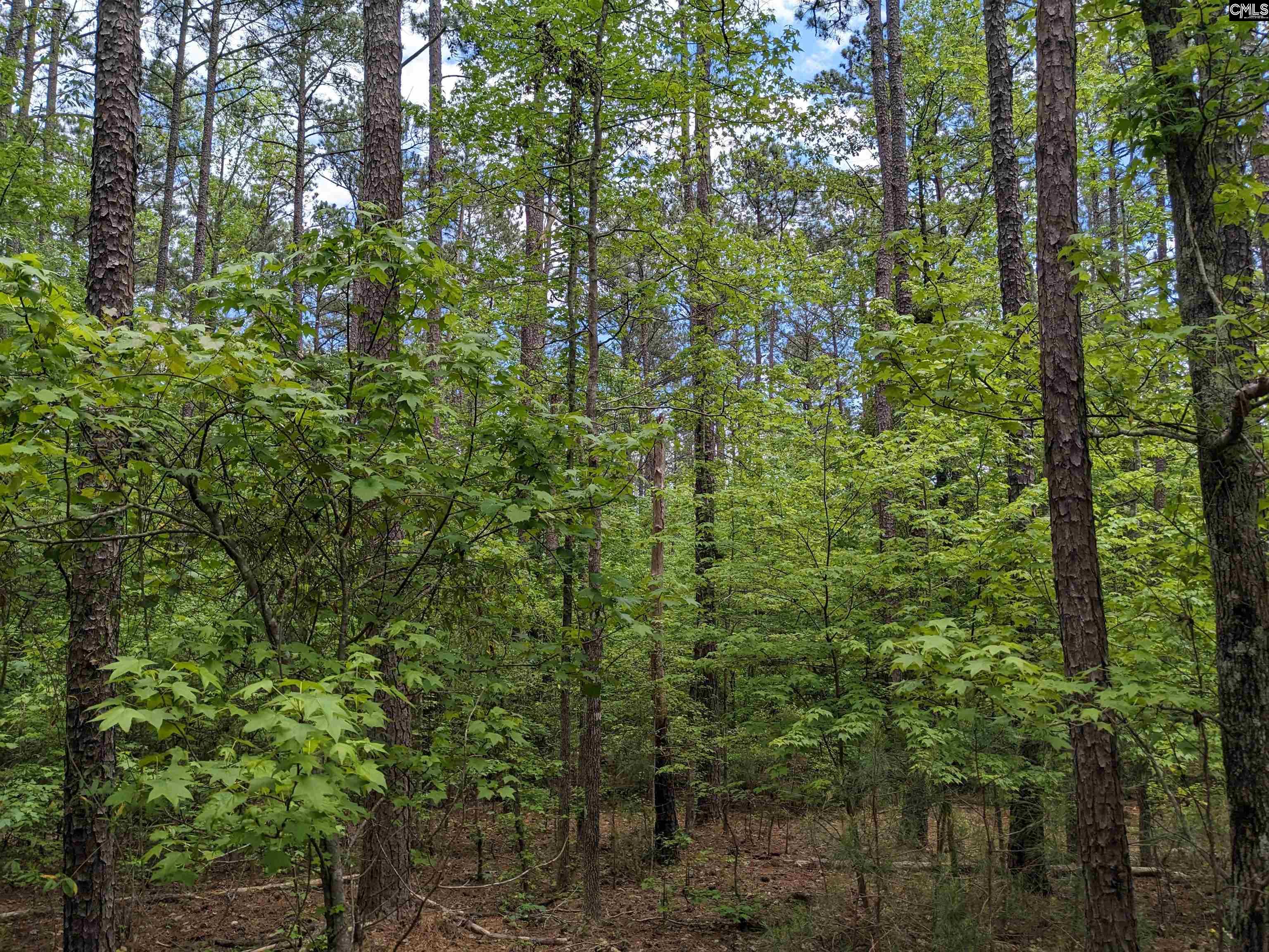 Syrup Mill Road Ridgeway, SC 29130 - Photo 22 of 33