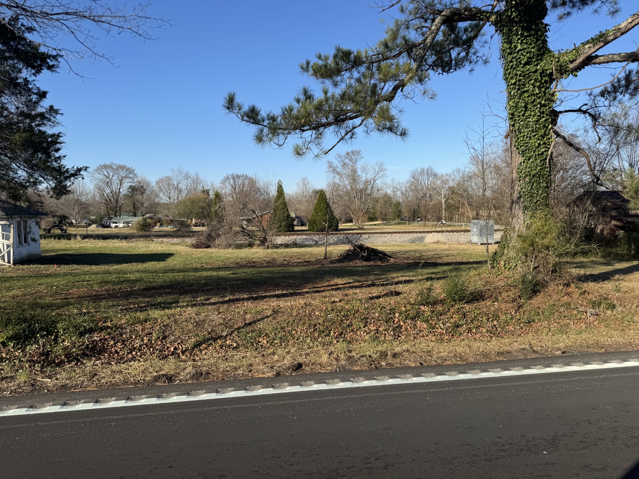 a view of dirt yard with large trees