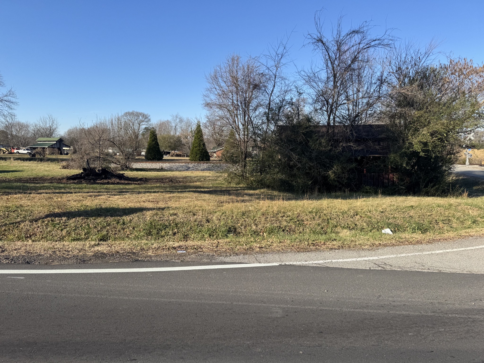 0 Buddy Road Burns, TN 37029 - Photo 2 of 3 a view of a yard with large trees