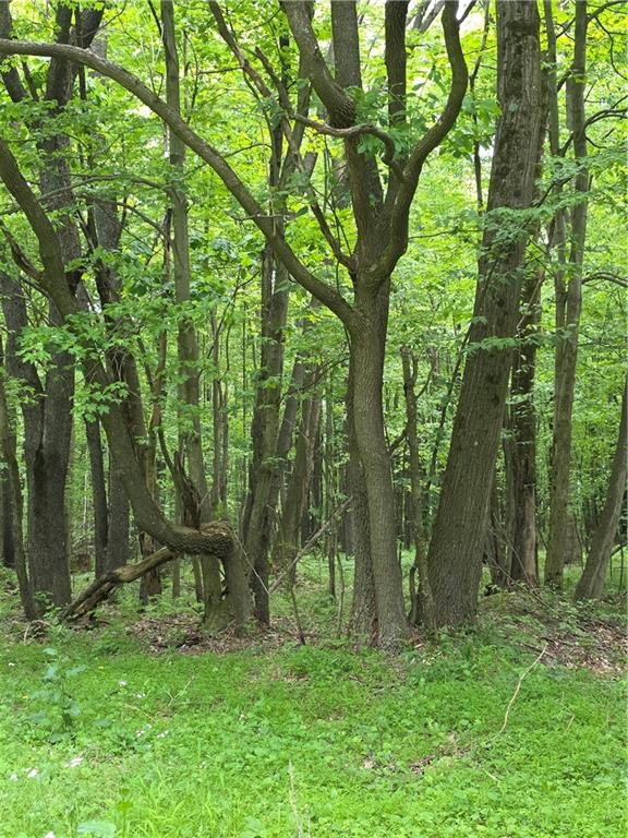 0 Silvis Road Homer City, PA 15748 - Photo 6 of 13