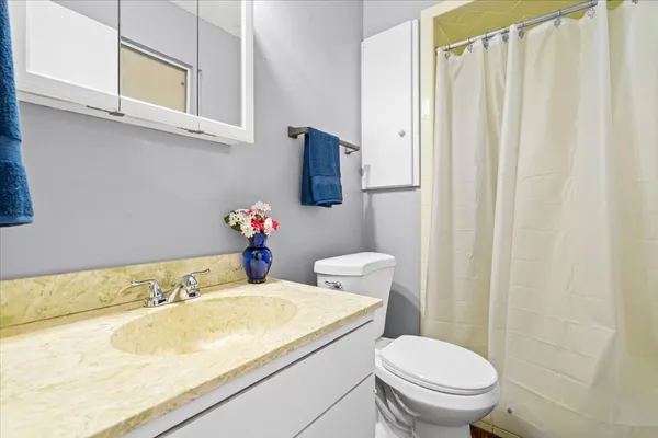a bathroom with a sink and a toilet