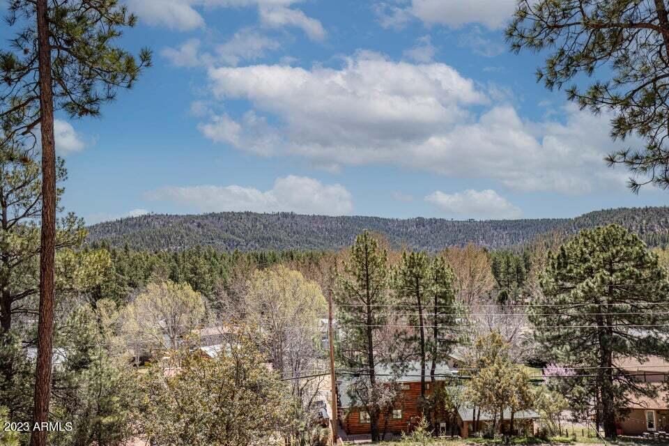 8716 Fossil Creek Road Strawberry, AZ 85544 - Photo 7 of 19 8