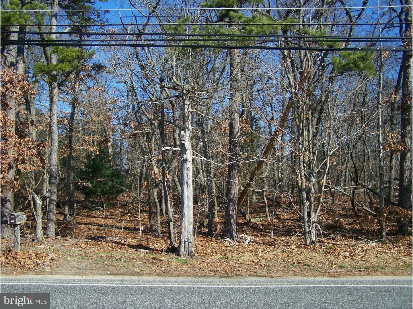1346 West Walnut Road Vineland, NJ 08360 - Photo 10 of 16 Gallery Image 10