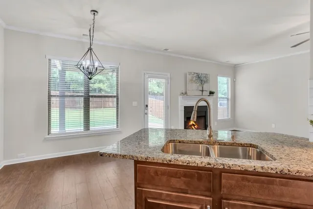 a kitchen view with a sink potted plant and cabinets