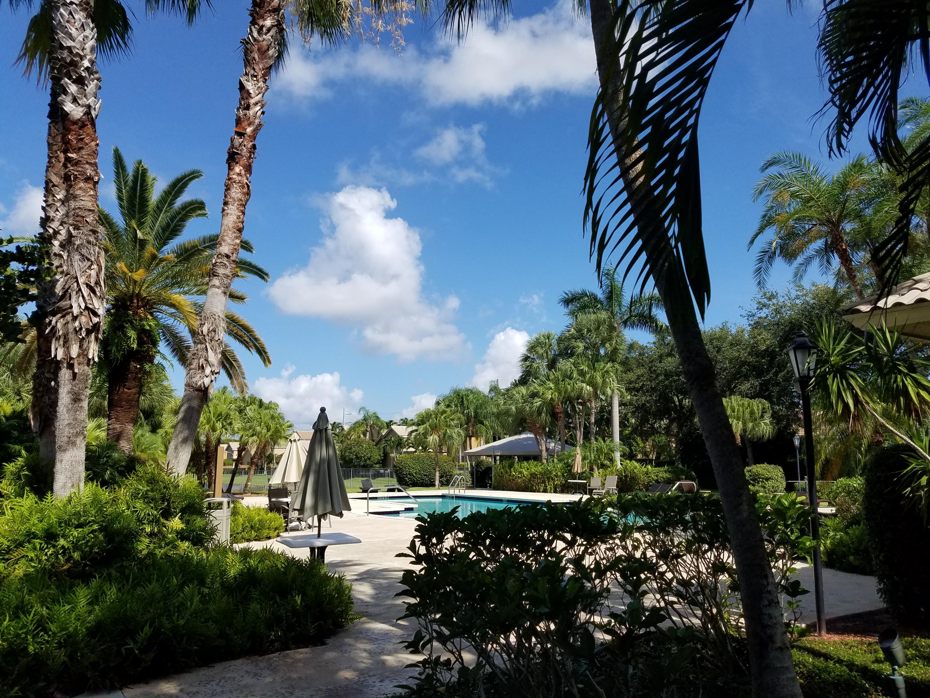 2490 Northwest 66th Drive Boca Raton, FL 33496 - Photo 11 of 22 Banyans Community Pool