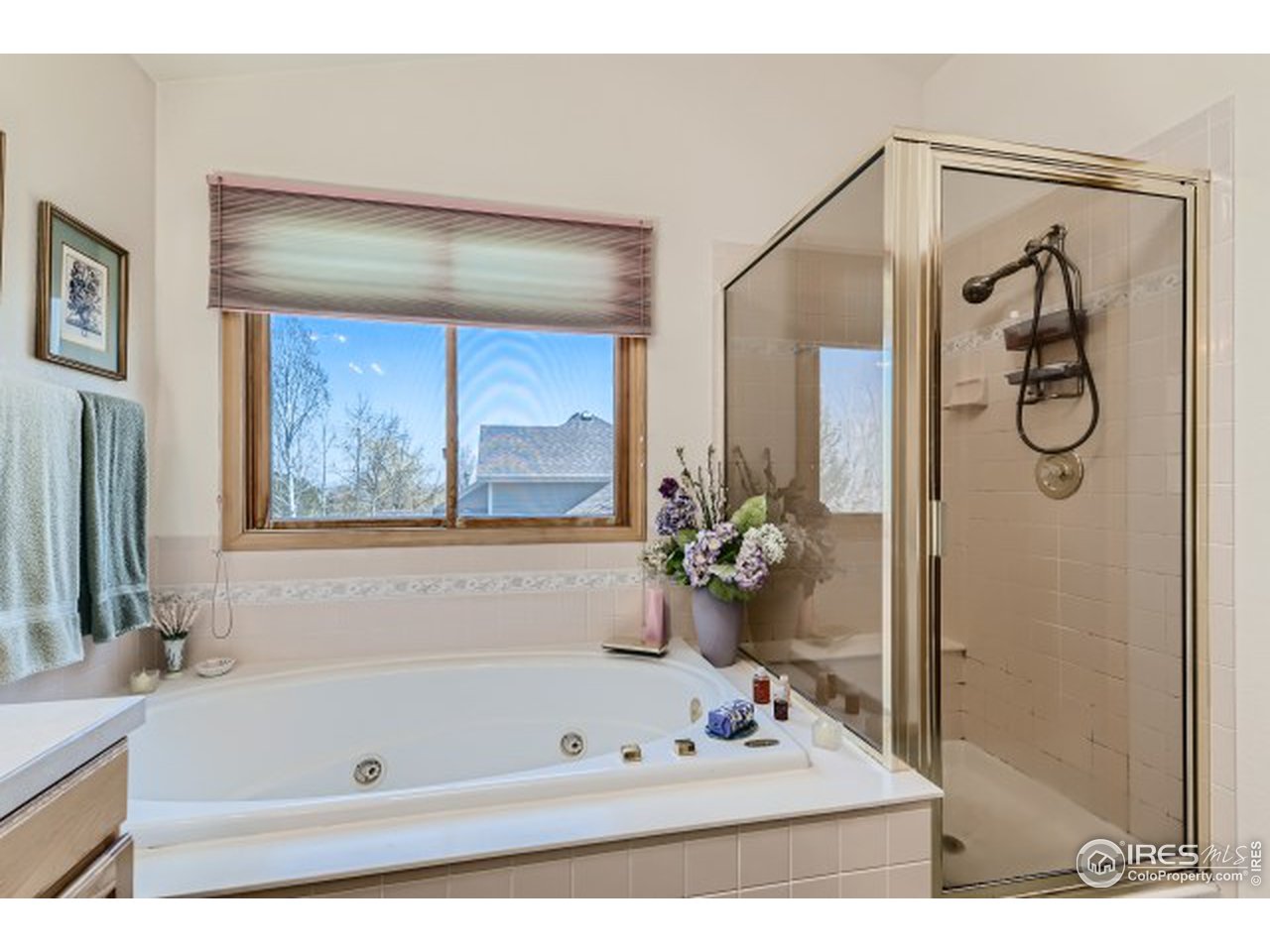 442 Flagler Road Fort Collins, CO 80525 - Photo 20 of 34 Primary bathroom