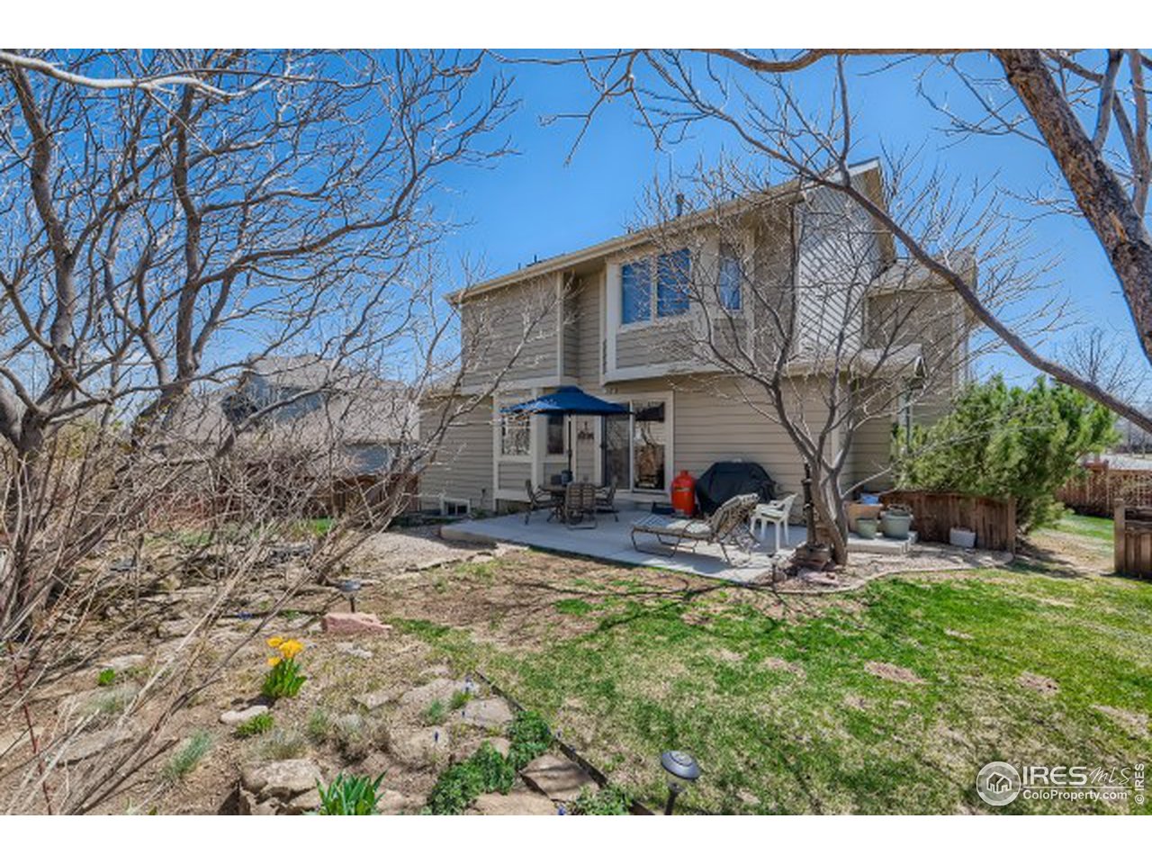 442 Flagler Road Fort Collins, CO 80525 - Photo 26 of 34 Lovely backyard