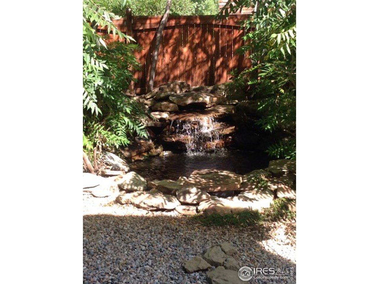 442 Flagler Road Fort Collins, CO 80525 - Photo 29 of 34 Koi pond, fish included!