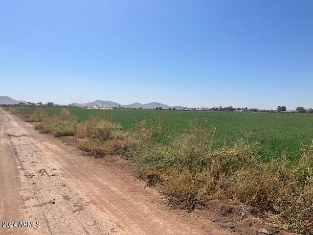 3 West Beloat Road Buckeye, AZ 85326 - Photo 4 of 9 a view of a forest with trees in the background