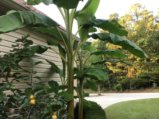 $515,900 | 218 Monroe Lane, McCormick, SC 29835