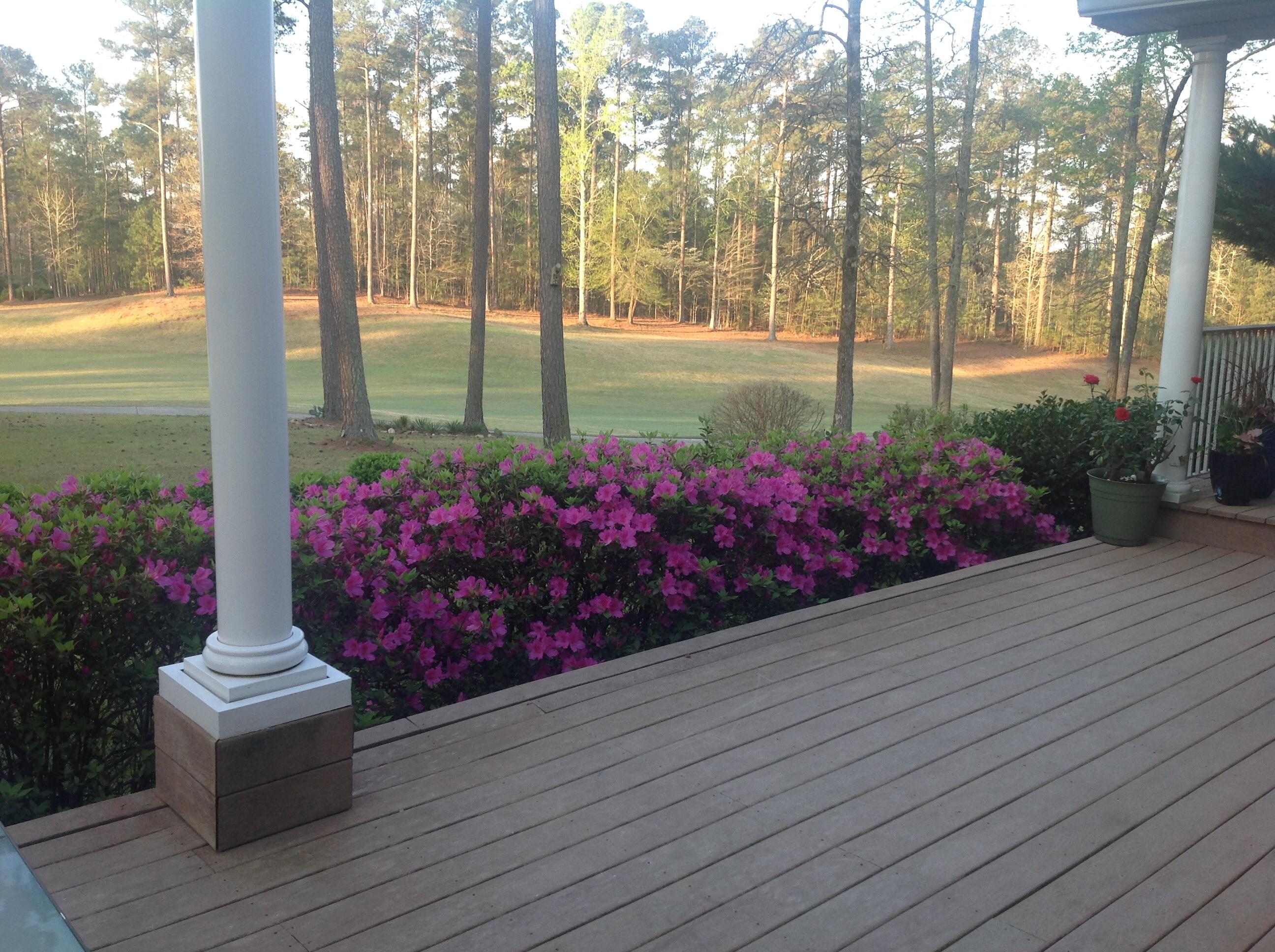 218 Monroe Lane McCormick, SC 29835 - Photo 8 of 74 IMG_0261