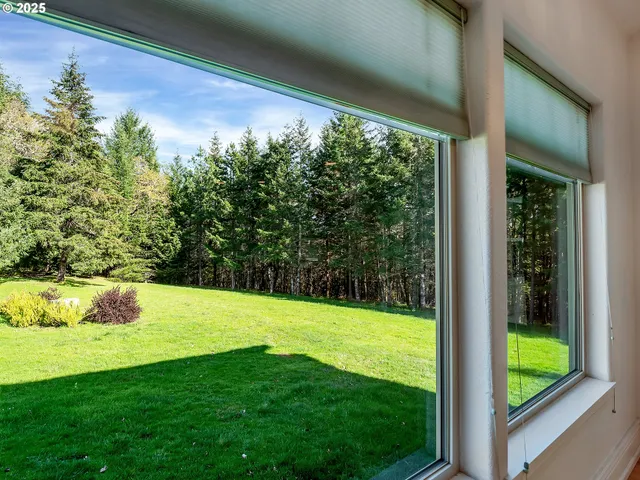 a view of a garden from a window