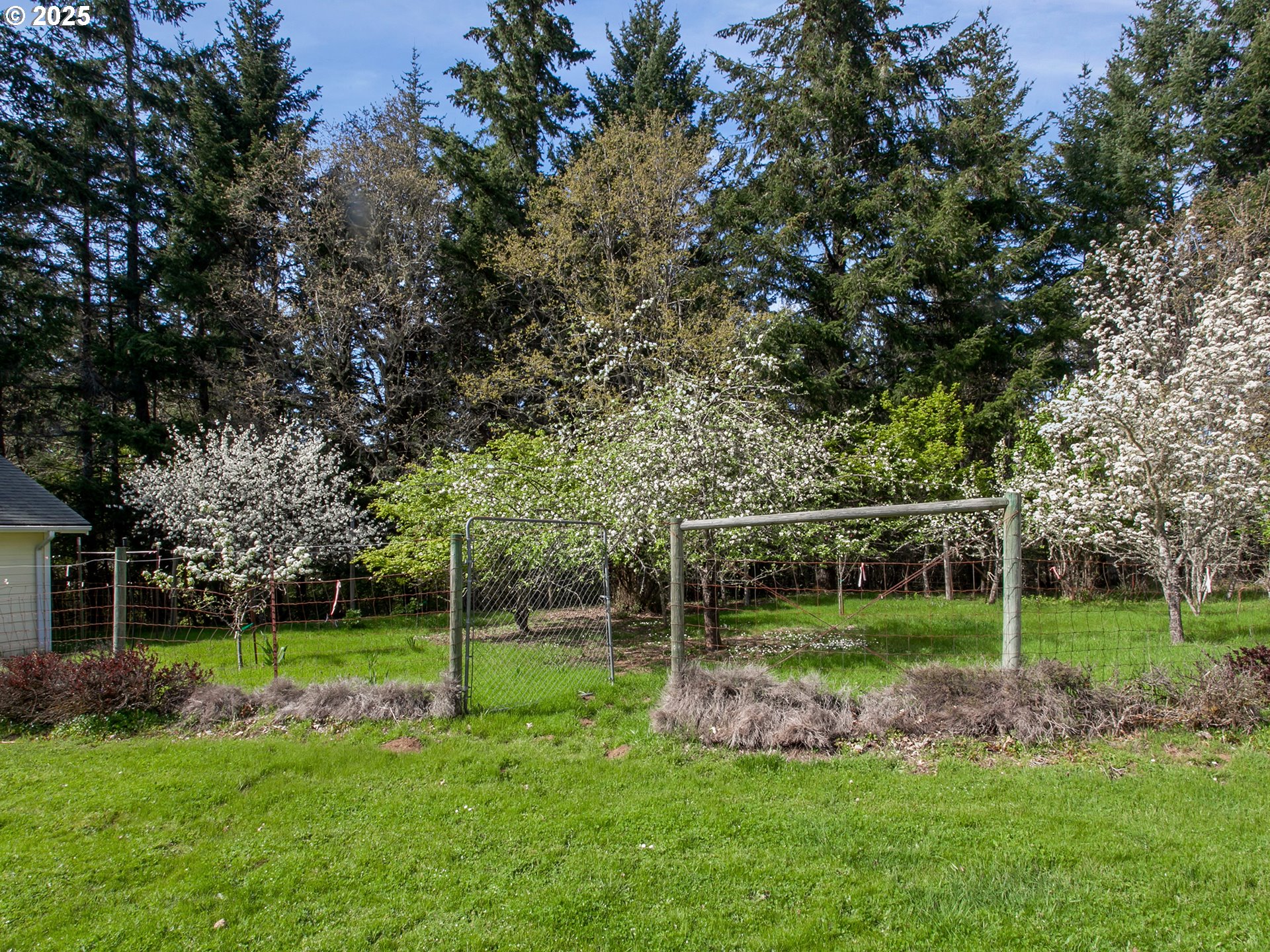 17234 Oakdale Road Dallas, OR 97338 - Photo 34 of 45 a view of a park with large trees