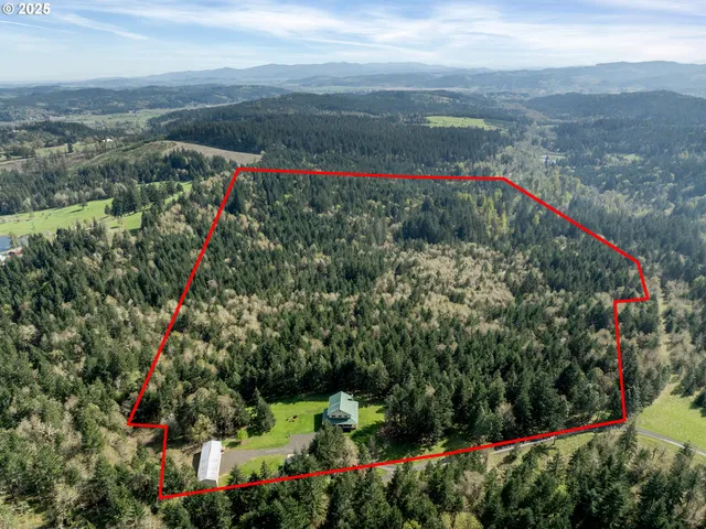 a view of a pathway with a flower garden