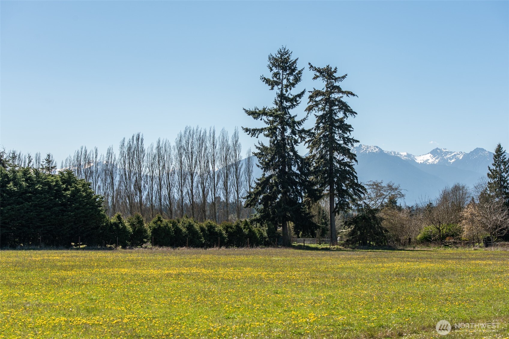 1688 Finn Hall Road Port Angeles, WA 98362 - Photo 25 of 38