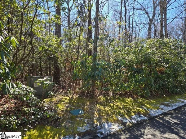 $30,000 | 108 Hemlock Trail, Cleveland, SC 29635