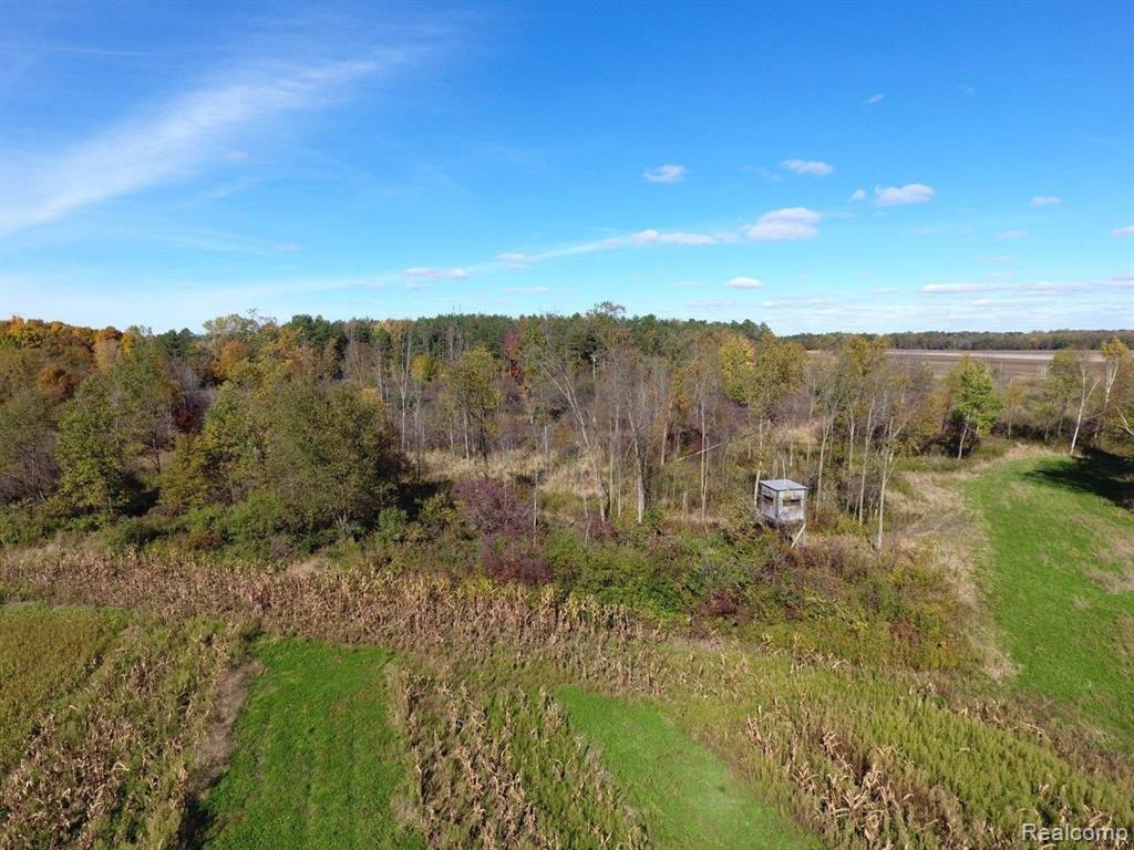 29.79-ac Snoblin Road North Branch, MI 48461 - Photo 7 of 11