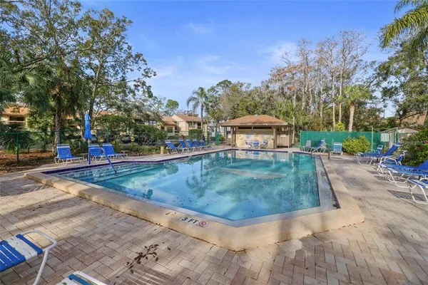 a view of swimming pool with lawn chairs and plants