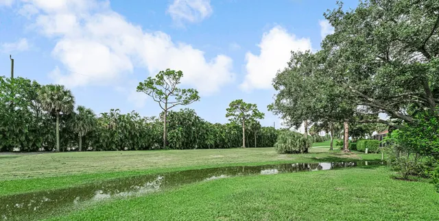 a view of a grassy field with trees