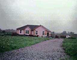 Primary Photo