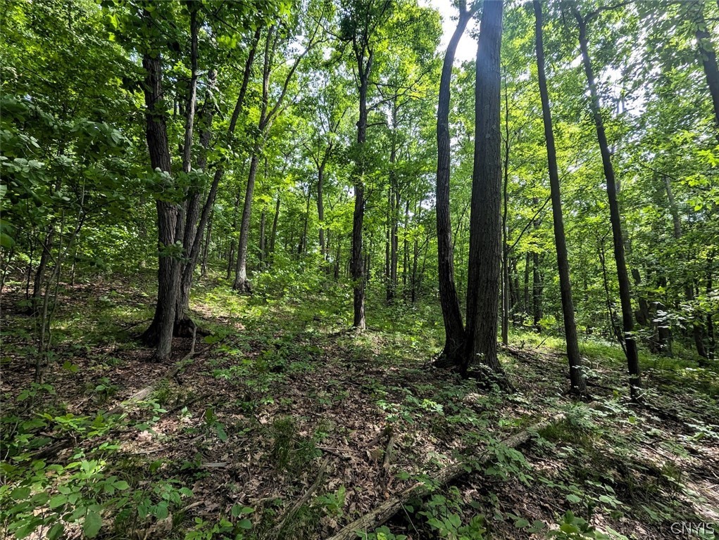 Keifer Hollow Road Dansville, NY 14437 - Photo 13 of 33