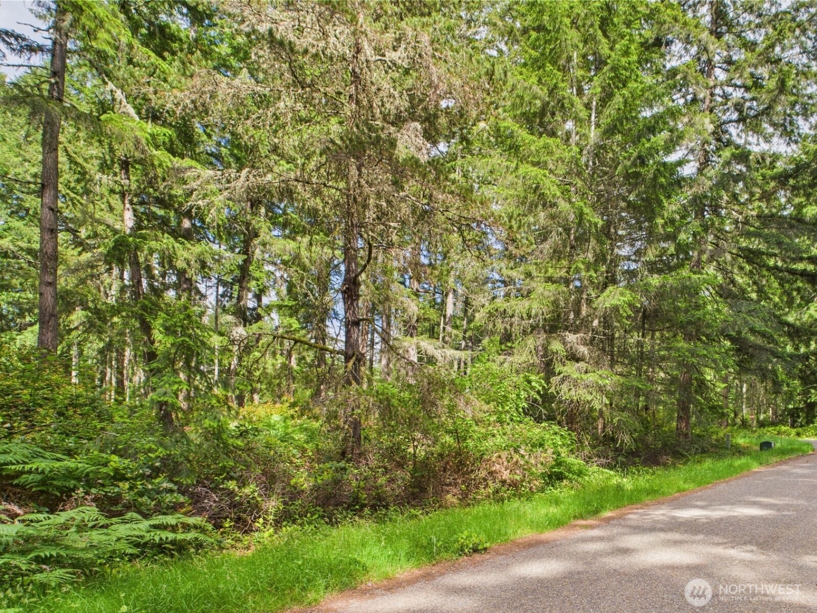 10412 Edgewood Drive Anderson Island, WA 98303 - Photo 1 of 16 a view of a yard with a tree