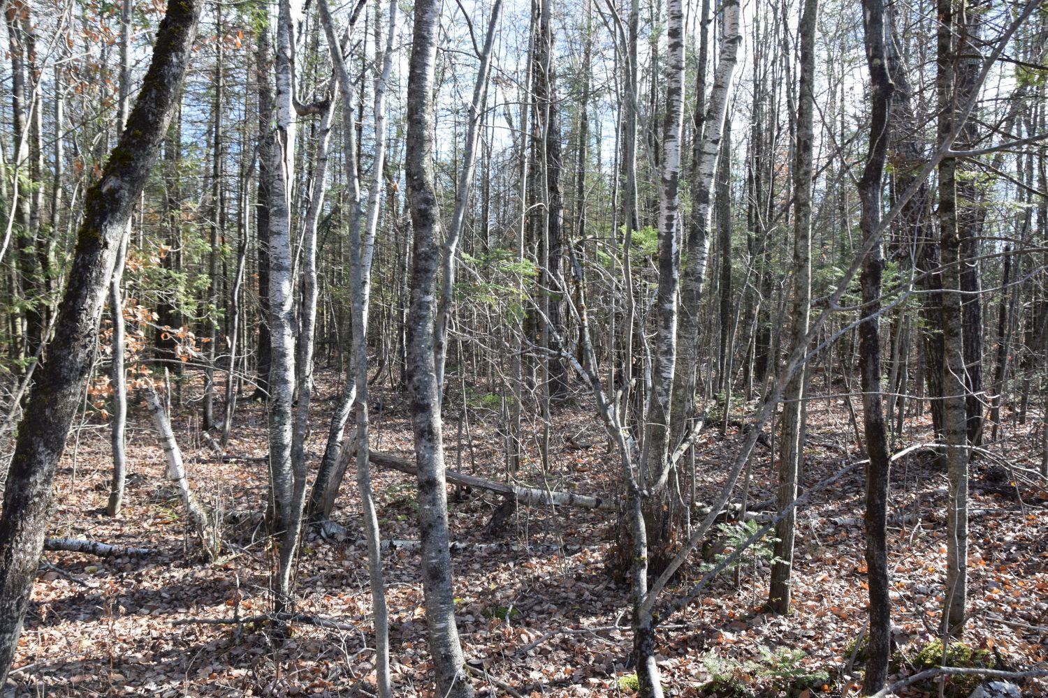 M10-l48a Goodrich Road Clinton, ME 04927 - Photo 6 of 8 DSC_0006