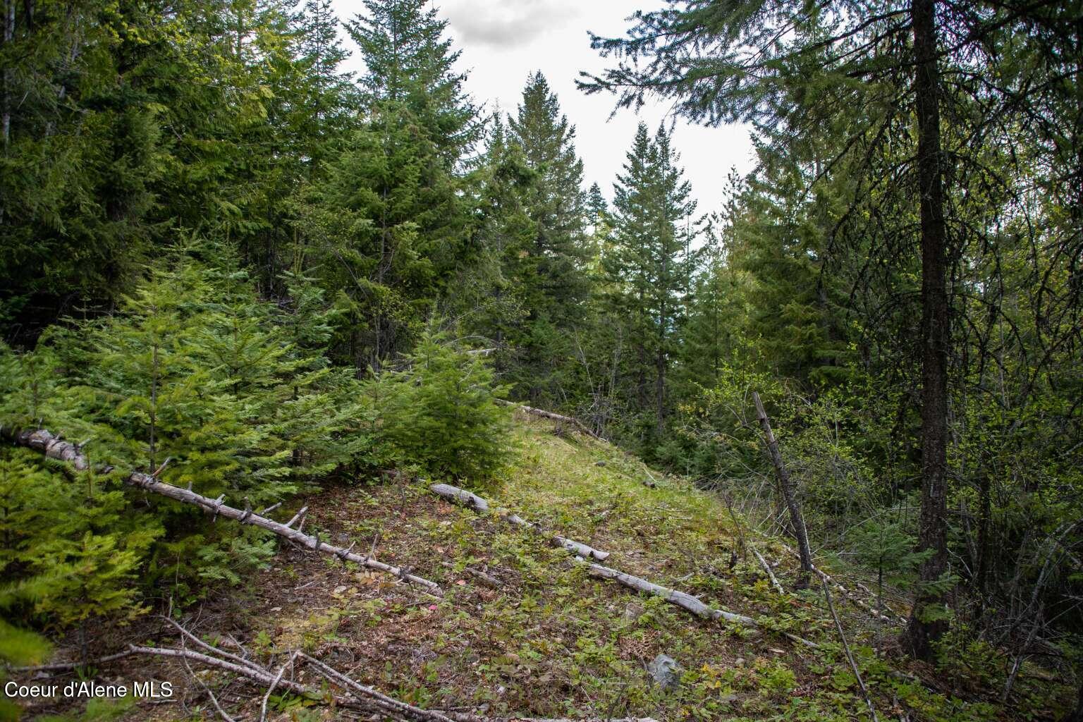 89 Lynx Run Road Sagle, ID 83860 - Photo 6 of 6 Stevenson.6