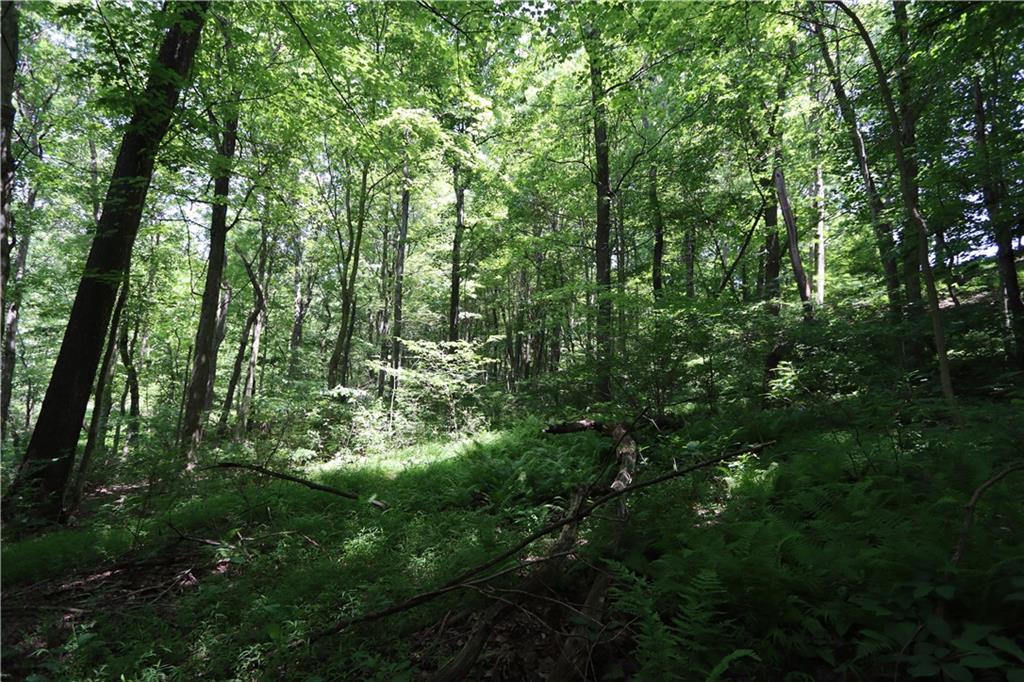 208 Howard Road Sewickley, PA 15143 - Photo 41 of 41 ...extending into a portion of the woods... such beauty to celebrate...