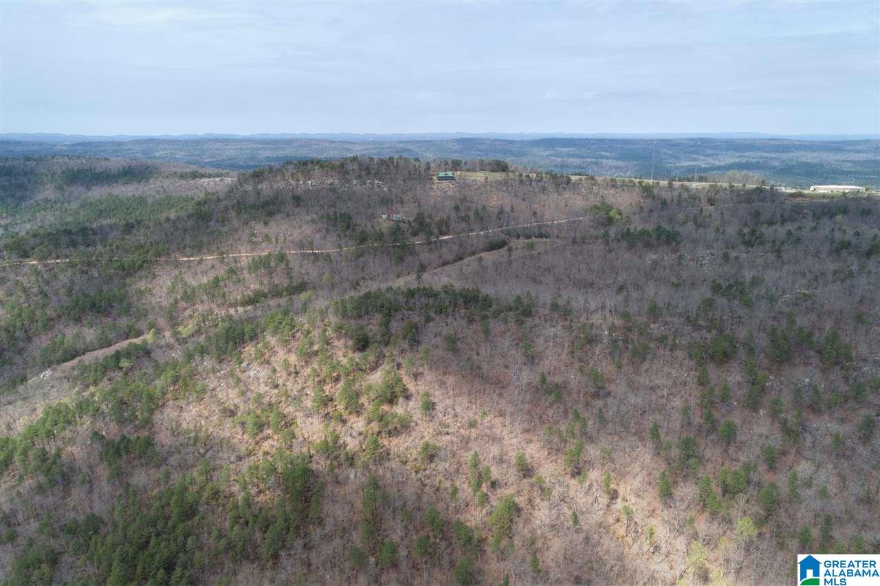 1234 High Road, Unit 1 Columbiana, AL 35051 - Photo 15 of 38