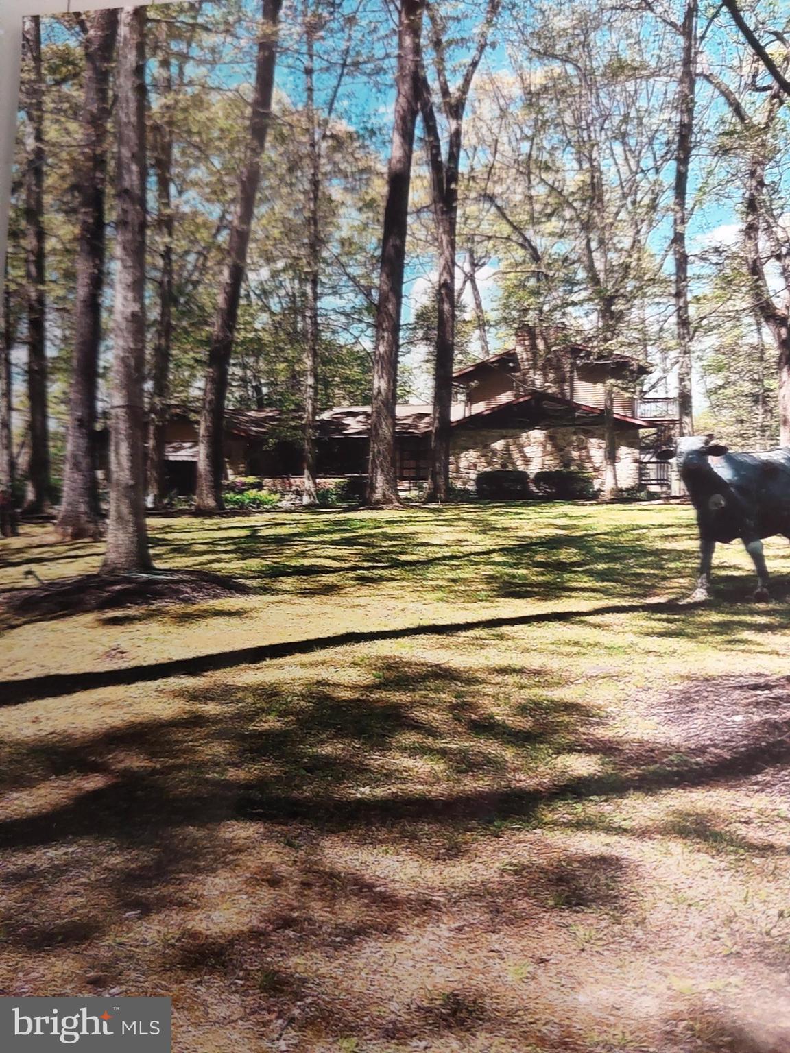 3725 Oakland Road Bethlehem, PA 18020 - Photo 6 of 52 a view of a yard with large trees