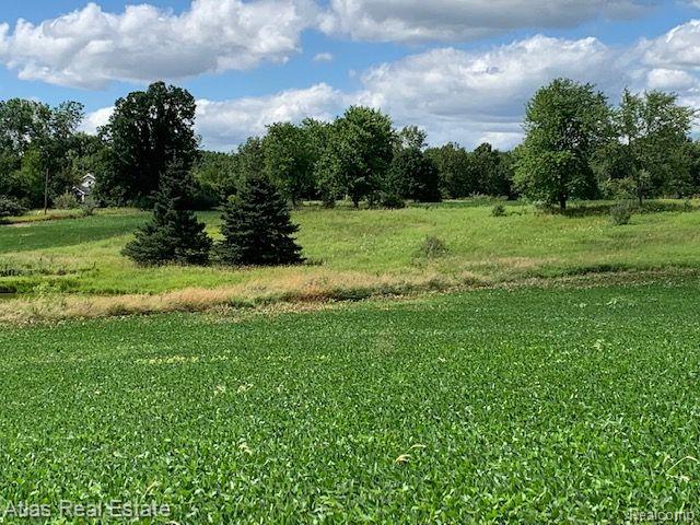 9455 Irish Road Goodrich, MI 48438 - Photo 15 of 25 Gallery Image 15
