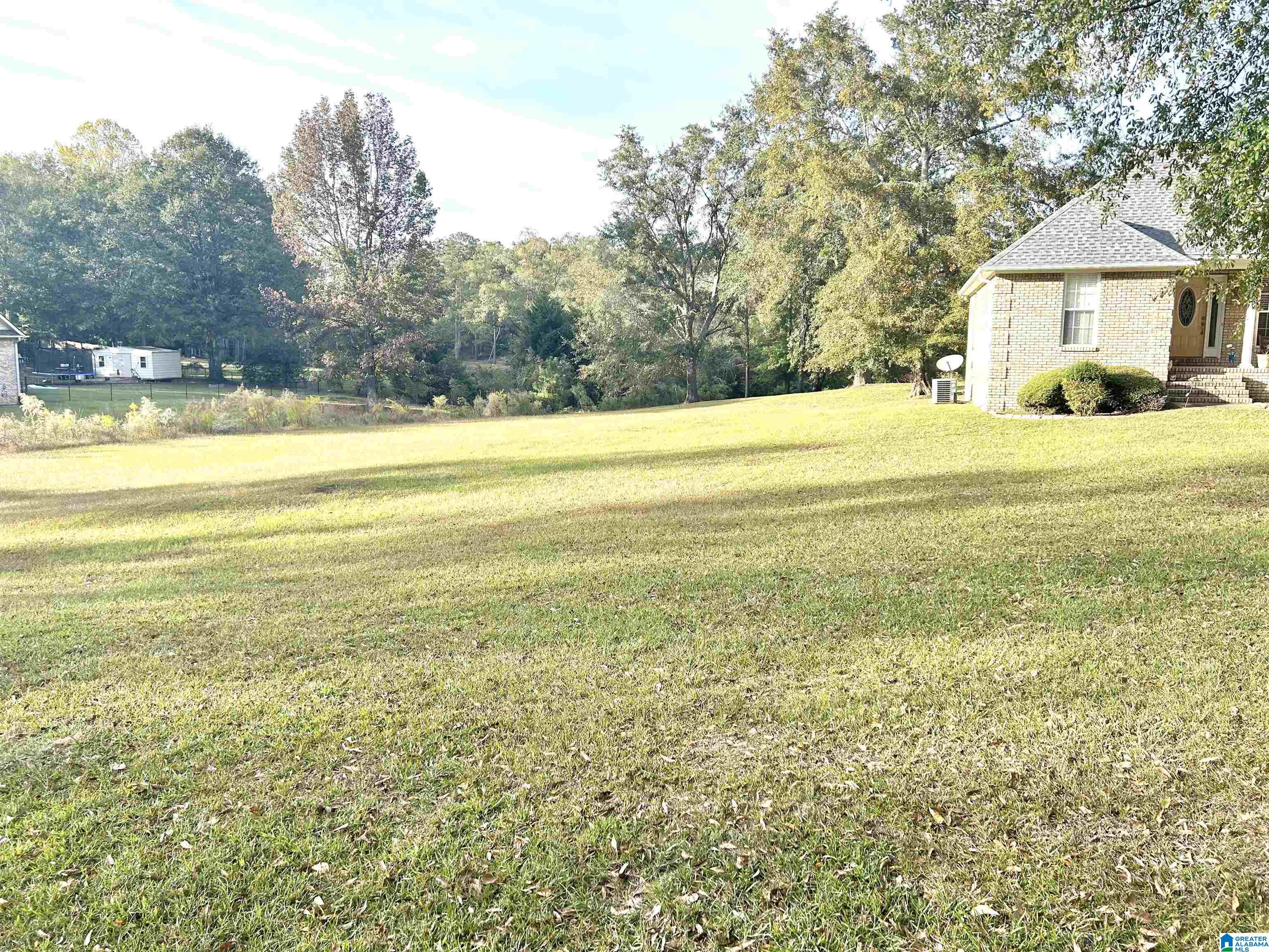 906 Wilson Road Clanton, AL 35045 - Photo 10 of 14