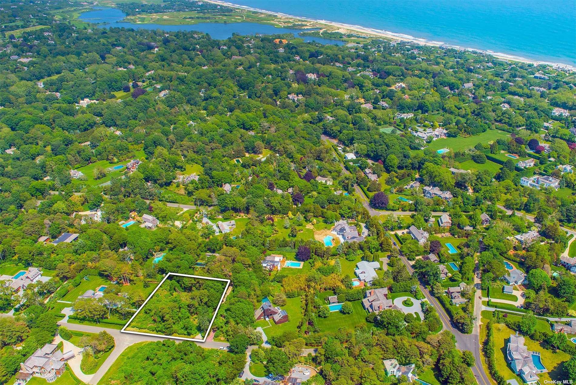 65 East Hollow Road East Hampton, NY 11937 - Photo 1 of 1 a view of a lush green forest