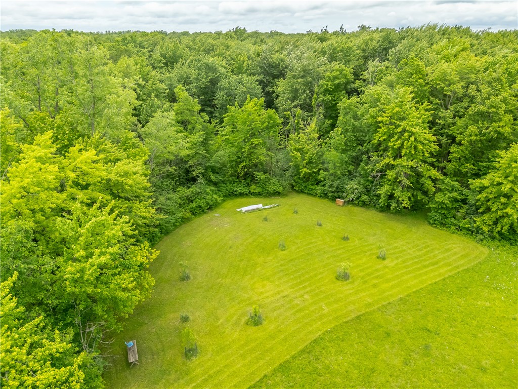 894 Ladue Road Sweden, NY 14420 - Photo 14 of 15