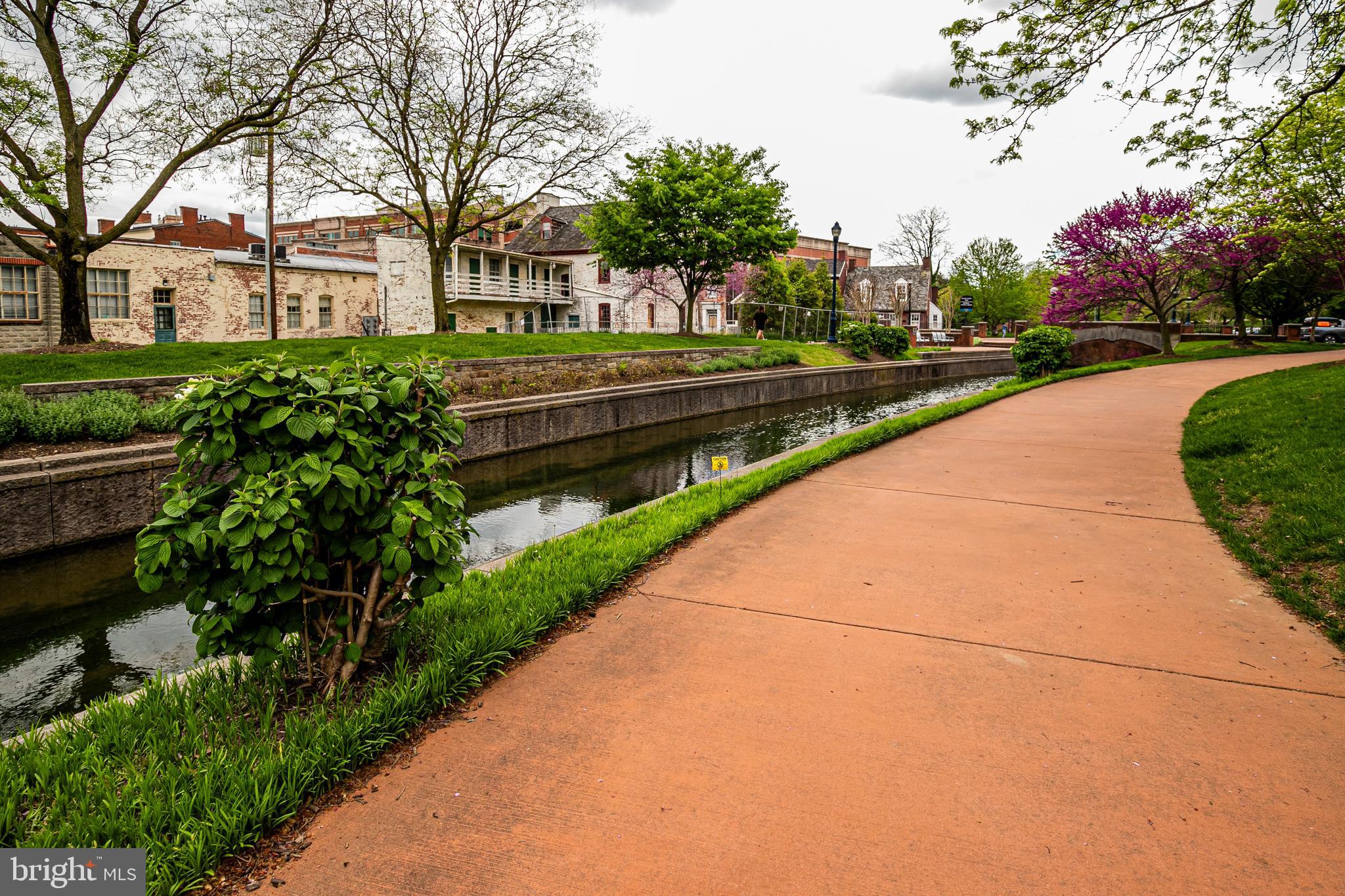 404 Biggs Avenue Frederick, MD 21702 - Photo 47 of 47 a front view of a house with a yard and potted plants