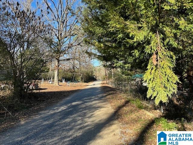 101 Highway 101 Sterrett, AL 35147 - Photo 7 of 25