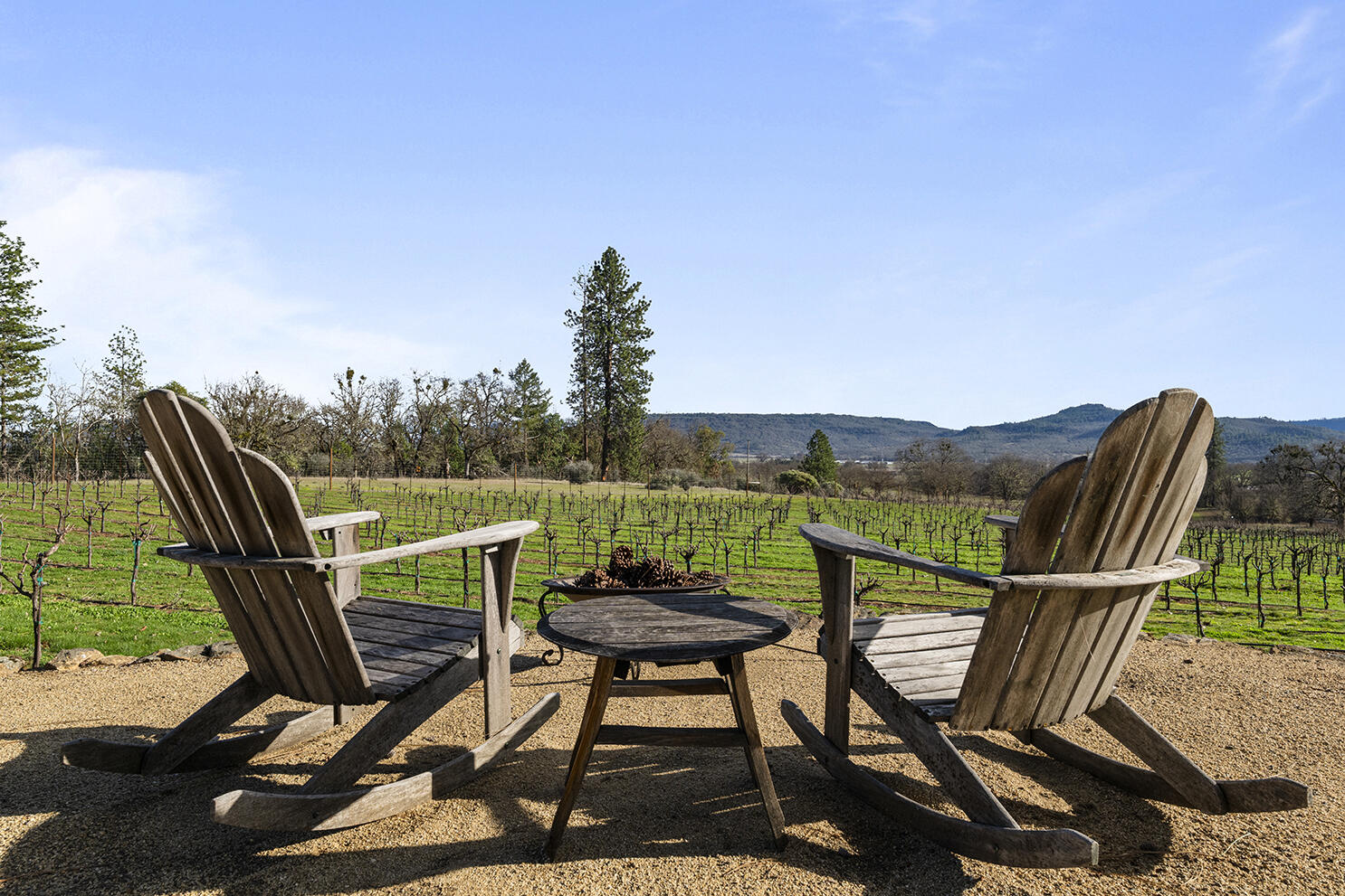 1052 Holcomb Springs Road Gold Hill, OR 97525 - Photo 5 of 65 Vineyard Seating Area with Scenic Views