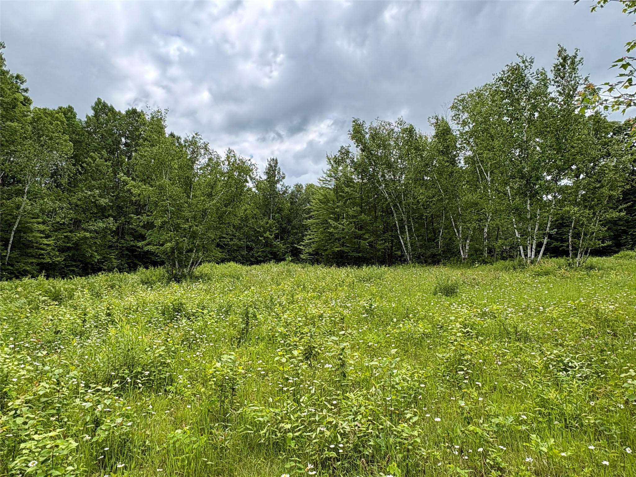 0 27th Street Cameron, WI 54822 - Photo 41 of 45
