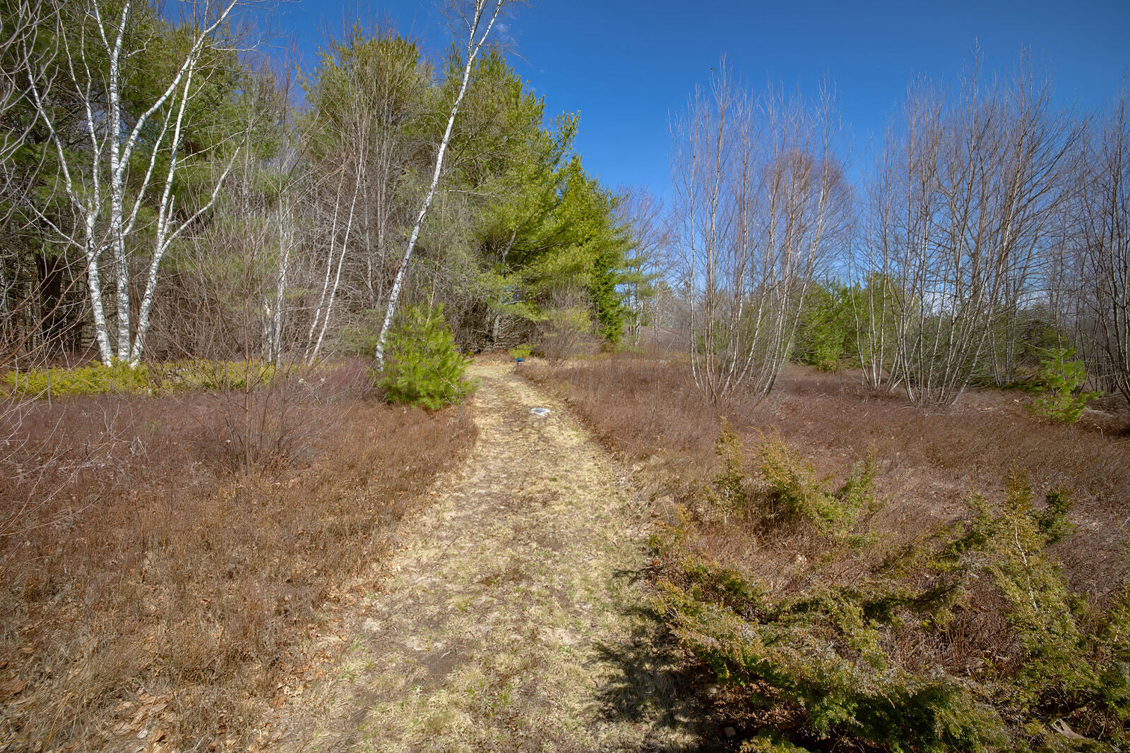 10 Patten Way Ellsworth, ME 04605 - Photo 63 of 68 29-10 Patten Way Outside-DTP_websize