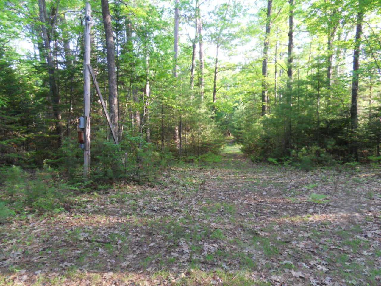 On On Jennifer Road Rhinelander, WI 54501 - Photo 6 of 7 Gallery Image 6