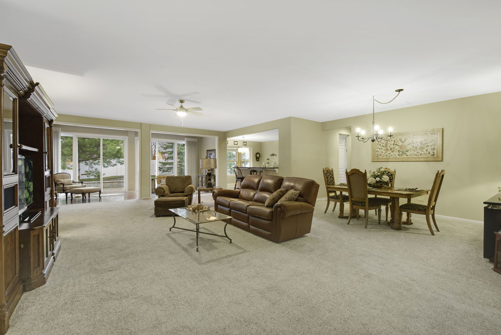 585 Tuscan View Elgin, IL 60124 - Photo 6 of 27