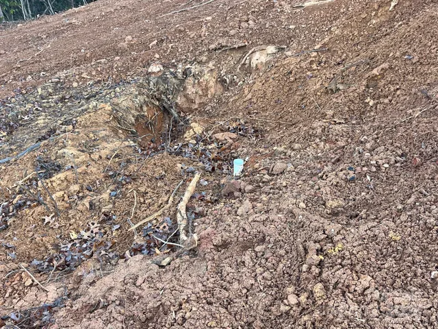 a view of outdoor space with trees