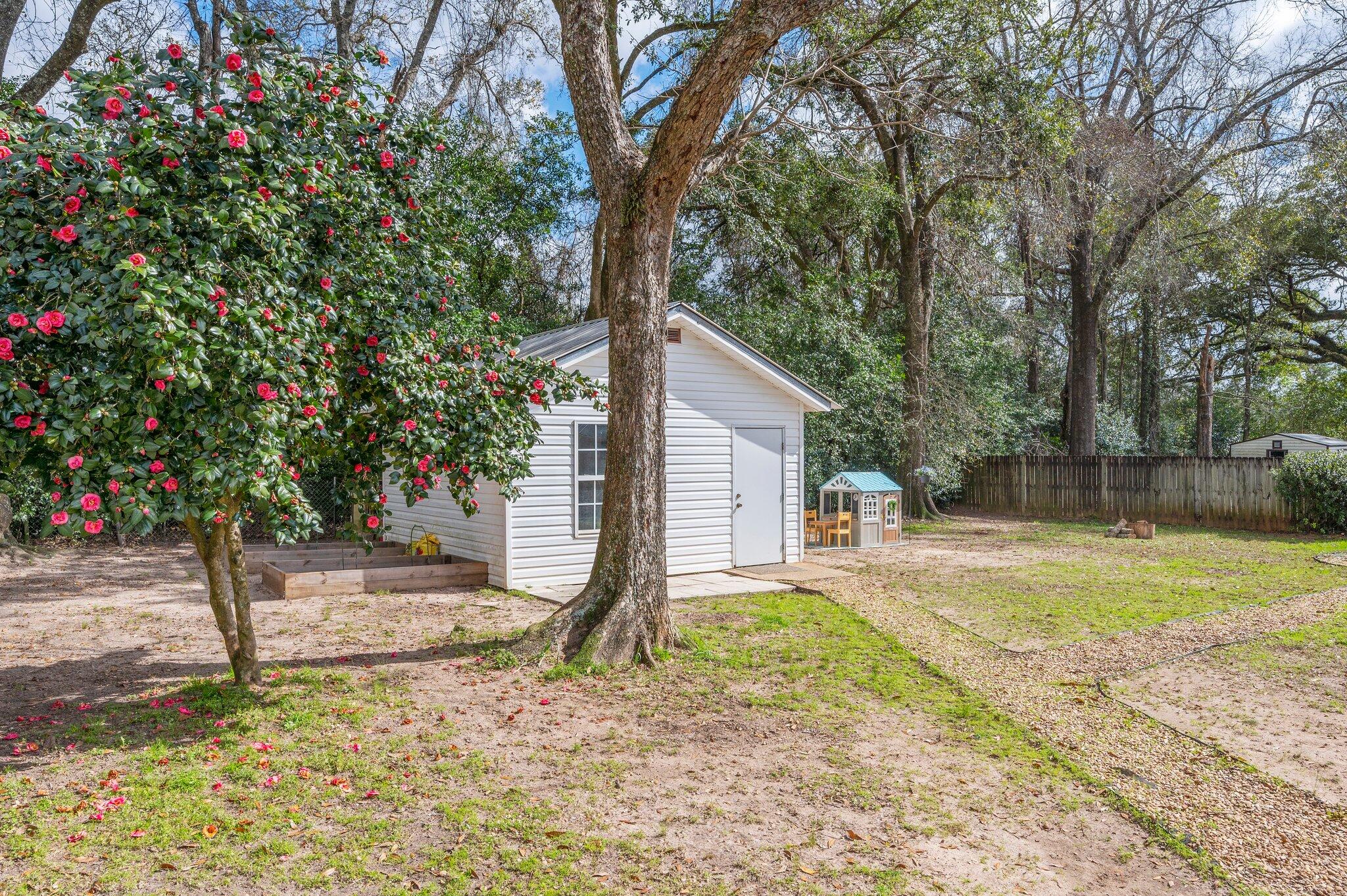 149 Shady Lane Crestview, FL 32536 - Photo 43 of 50 a view of a yard with a tree
