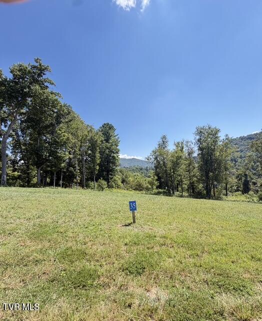 35 Cowan Town Road, Unit 35 Butler, TN 37640 - Photo 7 of 17 Lot 35